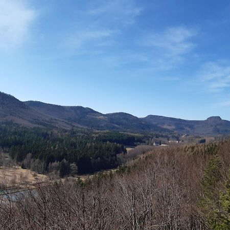 Agroturystyka Tam Gdzie Sosny Ścinawka Dolna Exteriér fotografie