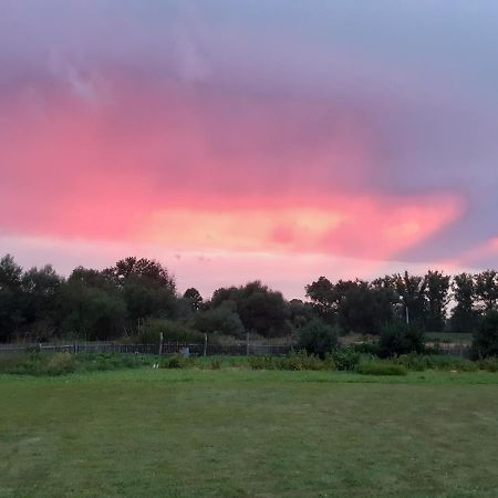 Agroturystyka Tam Gdzie Sosny Ścinawka Dolna Exteriér fotografie