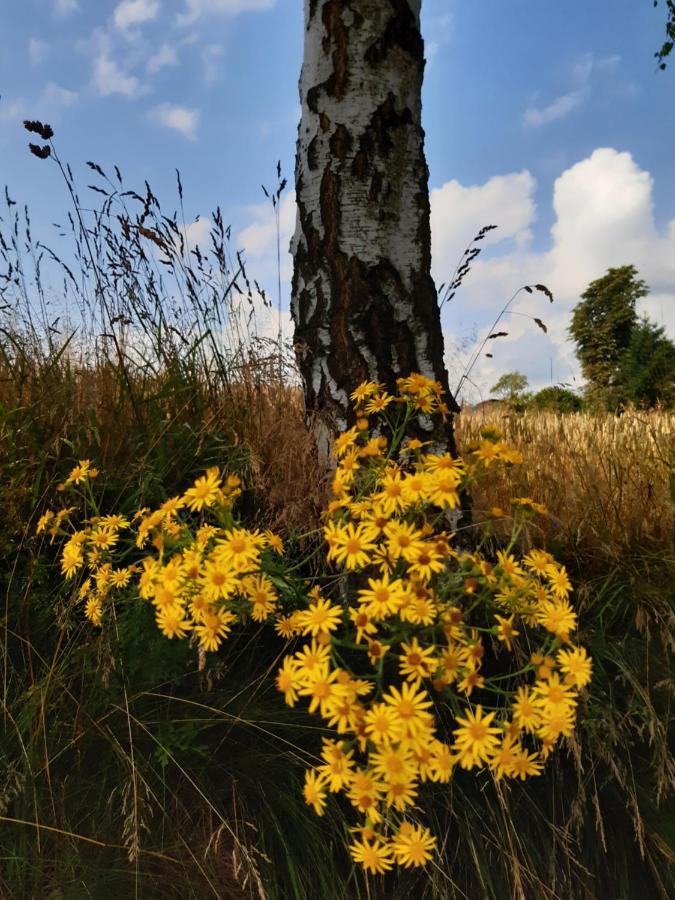 Agroturystyka Tam Gdzie Sosny Ścinawka Dolna Exteriér fotografie