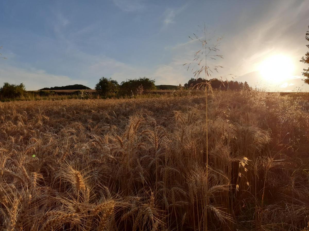 Agroturystyka Tam Gdzie Sosny Ścinawka Dolna Exteriér fotografie