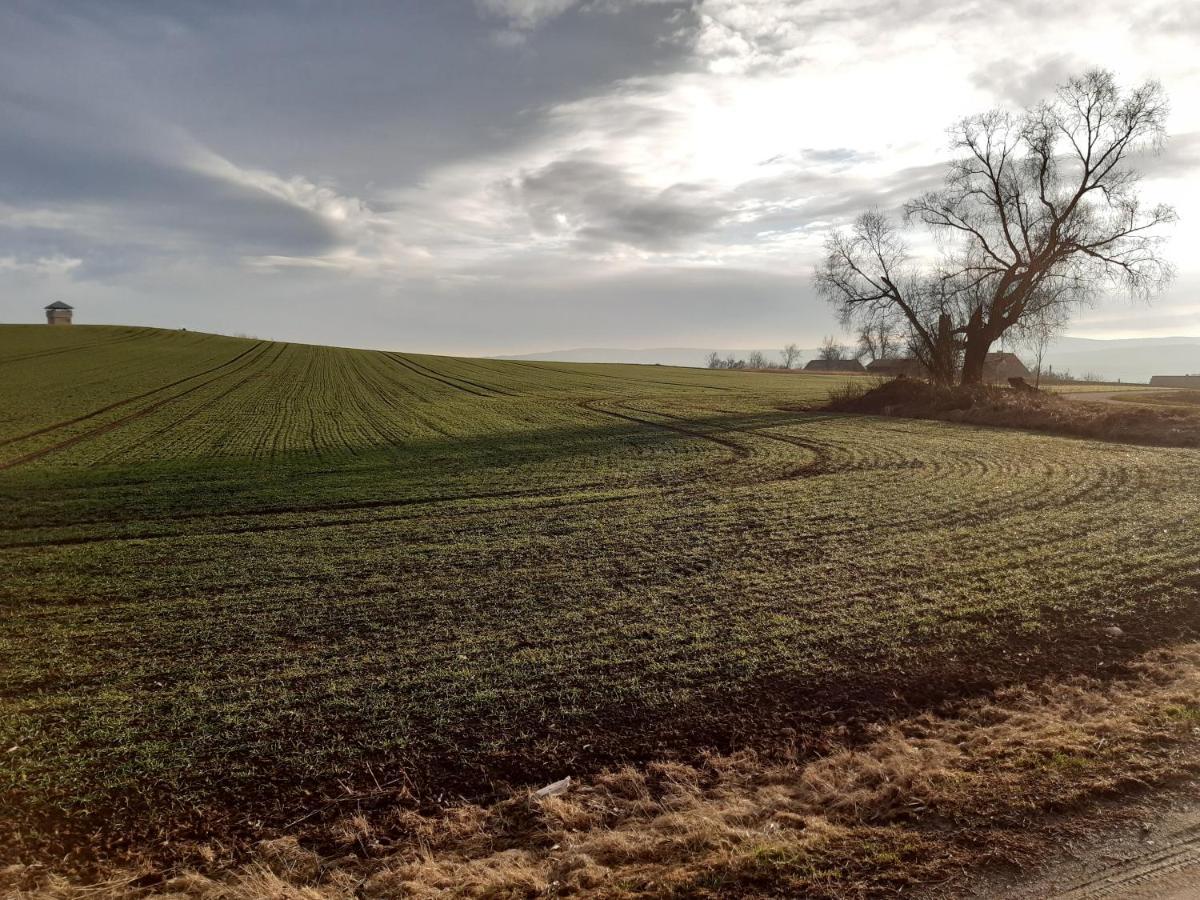 Agroturystyka Tam Gdzie Sosny Ścinawka Dolna Exteriér fotografie