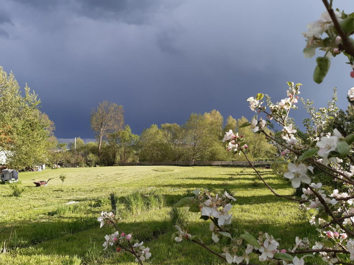 Agroturystyka Tam Gdzie Sosny Ścinawka Dolna Exteriér fotografie